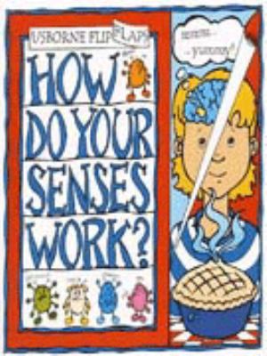 How do your senses work?