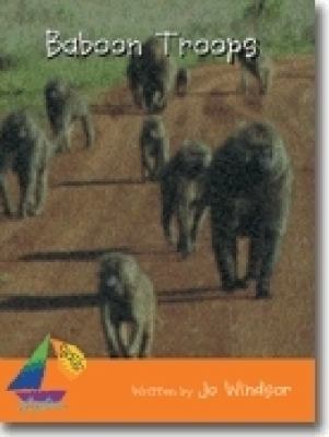 Baboon troops