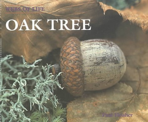 Oak tree