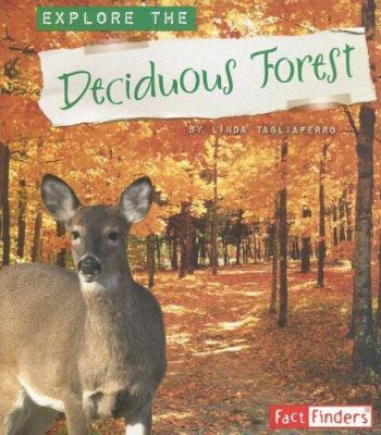 Explore the deciduous forest
