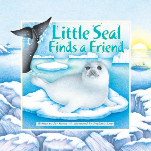 Little seal finds a friend