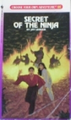 Secret of the Ninja