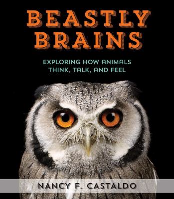 Beastly brains : exploring how animals talk, think, and feel