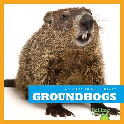 Groundhogs