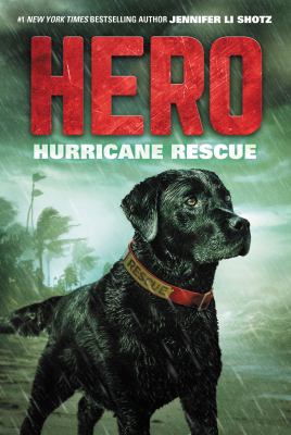 Hurricane rescue