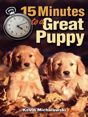 15 minutes to a great puppy