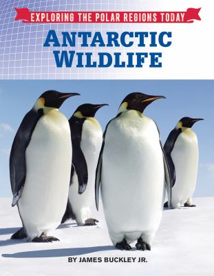 Antarctic wildlife