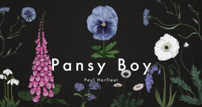 Pansy boy