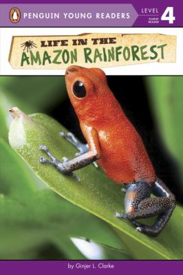 Life in the Amazon rainforest