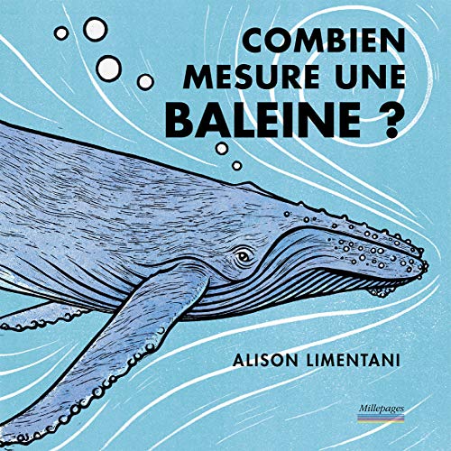 Combien mesure une baleine?