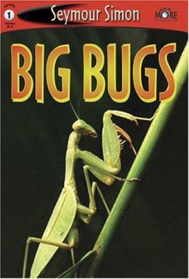 Big bugs