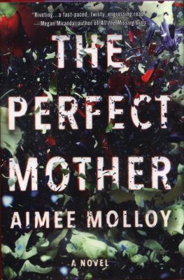 The perfect mother : a novel