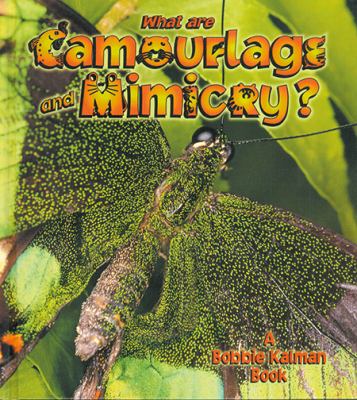 What are camouflage and mimicry?