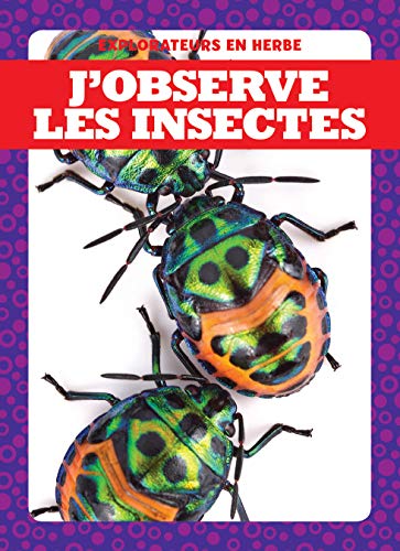 J'observe les insectes