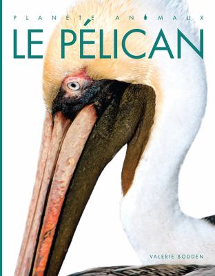 Le pélican