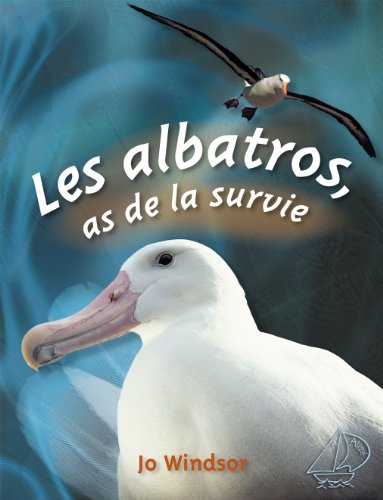 Les albatros, as de la survie