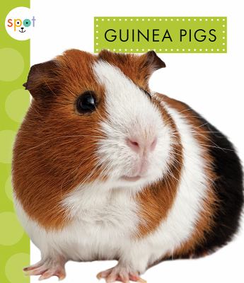 Guinea pigs