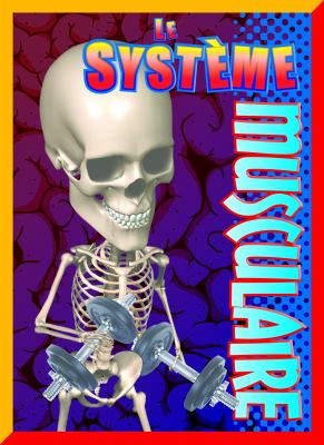 Le système musculaire