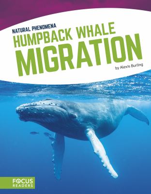 Humpback whale migration