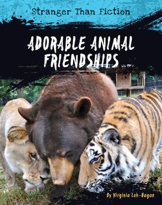 Adorable animal friendships