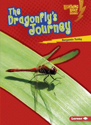 The dragonfly's journey