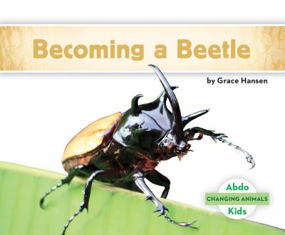 Becoming a beetle