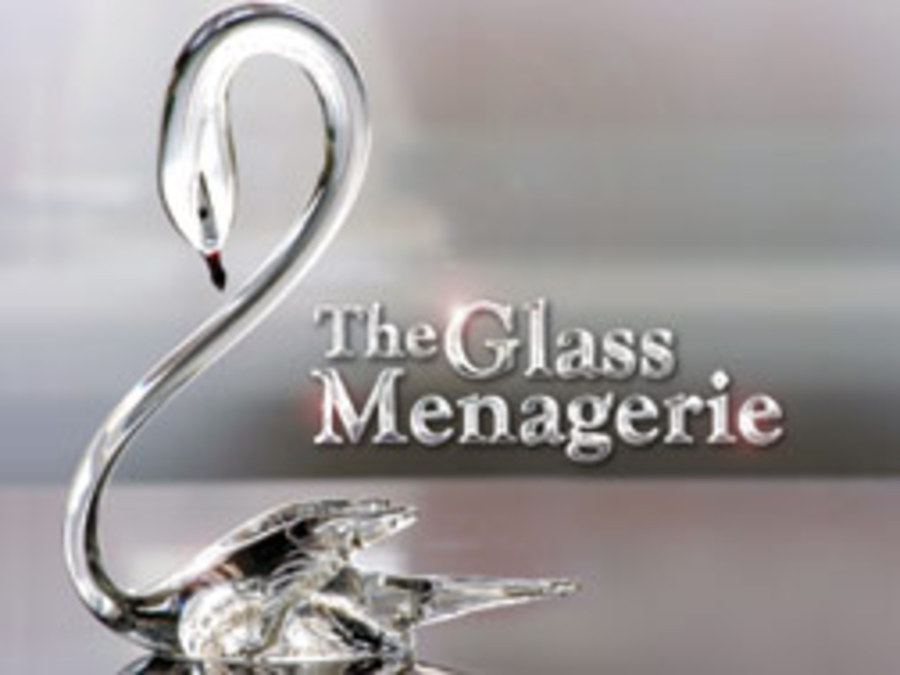 The Glass menagerie : character studies conversations