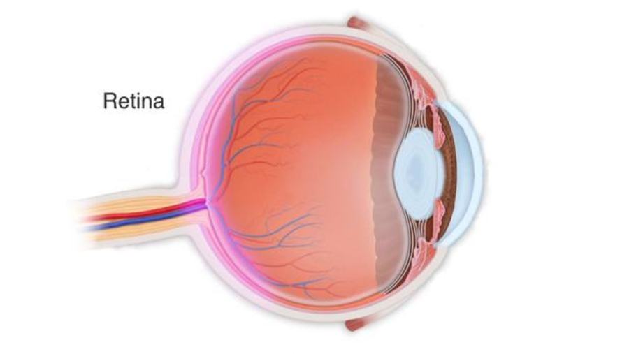 Astronomy Tool Detects Eye Diseases Earlier