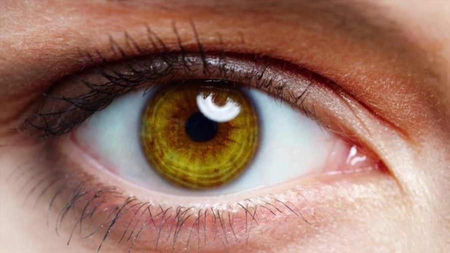 Killer Eyes : Stopping Infections
