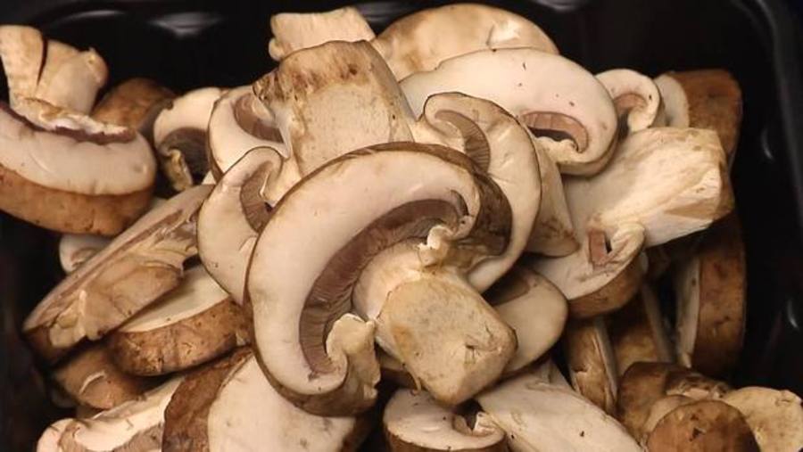 UV Light Makes Mushrooms Rich in Vitamin D