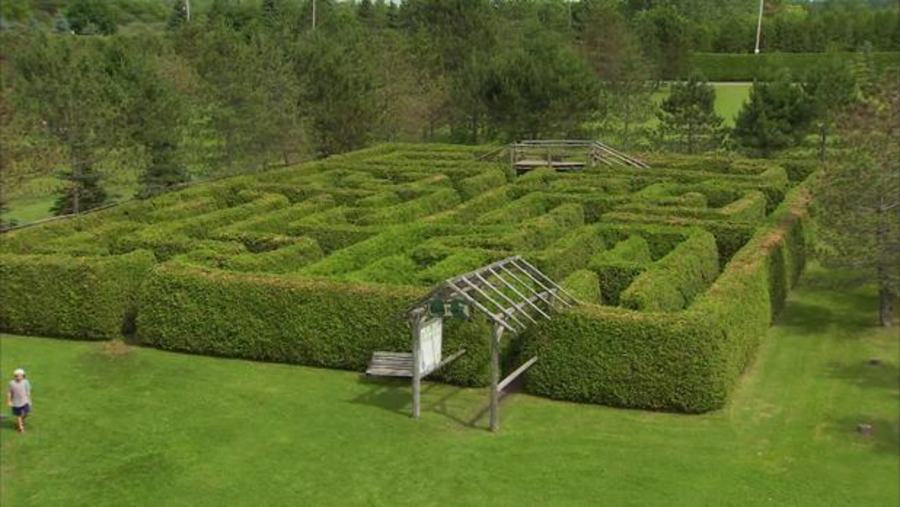 Totally A Maze Thing