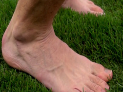 Hands & Feet : The Incredible Human Foot