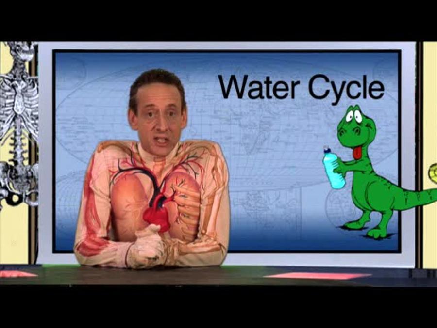 Natural Recycling : Water cycle