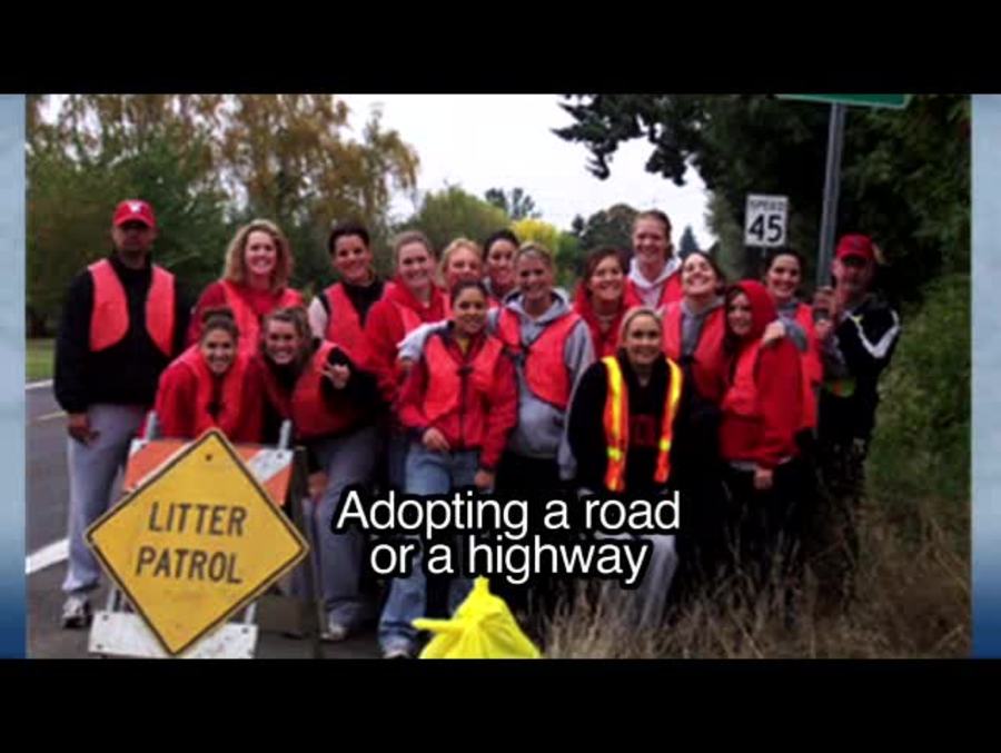 Clean up litter : Adopt a road
