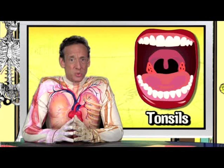 Tonsils