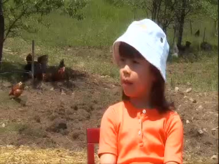 This is Emily Yeung learning about chickens : This is Emily Yeung
