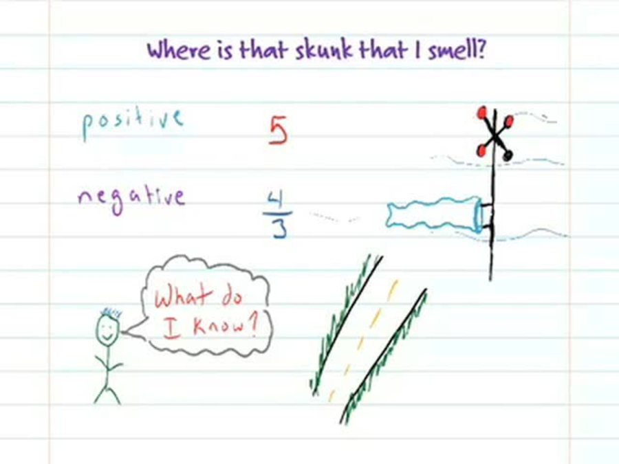 That Stinks : Negatives and Absolute Value