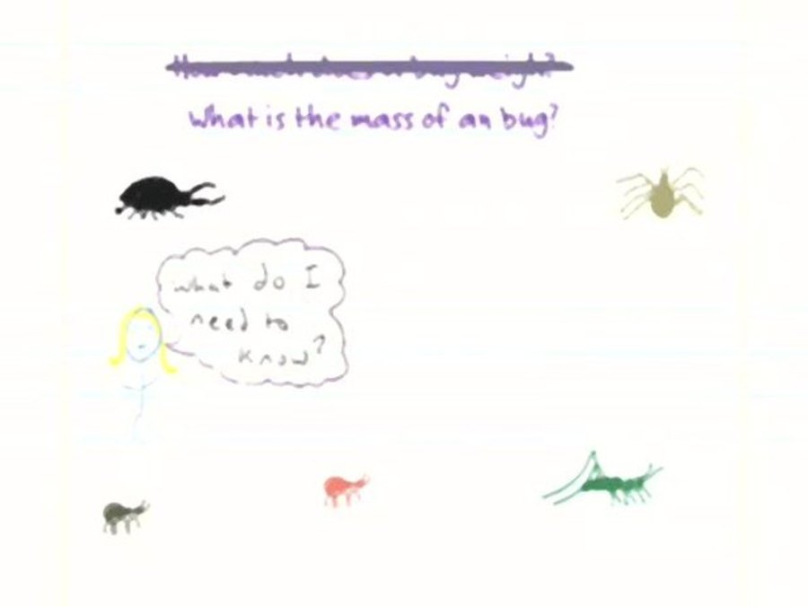 Backyard Bugs : Applying Rational Numbers