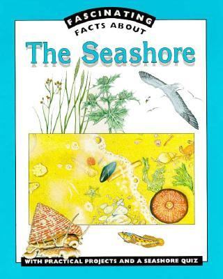 Fascinating facts about the seashore