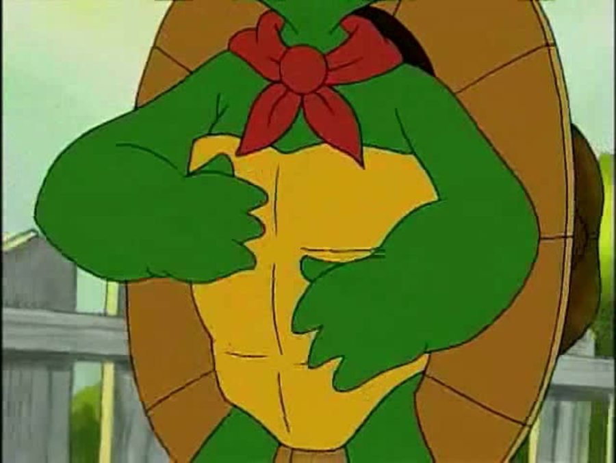 Franklin Says Sorry : Franklin the Turtle