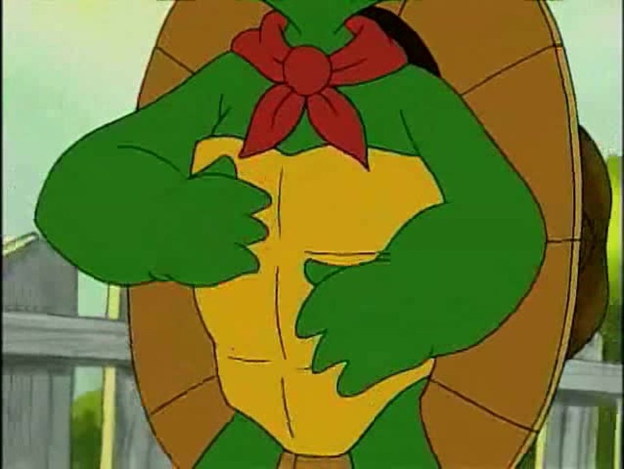 Franklin's Kite : Franklin the Turtle