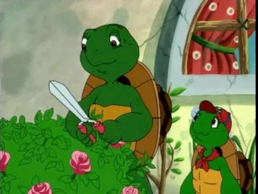 Franklin Snoops : Franklin the Turtle