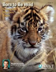 Born to Be Wild - Saving the Majestic Tiger