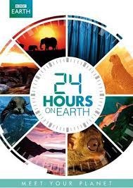 24 Hours on Earth. Night  /