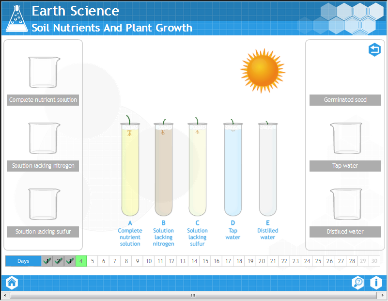 Soil Nutrients and Plant Growth
