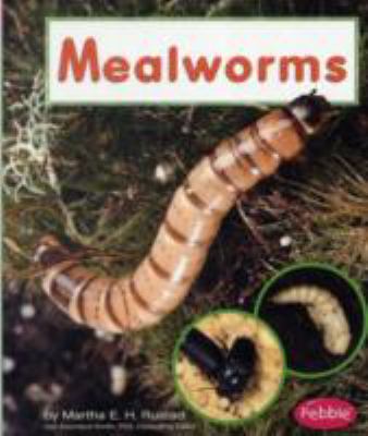 Mealworms