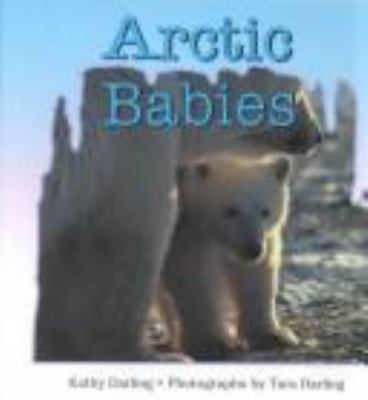 Arctic babies