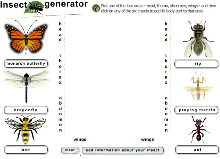Insect Generator