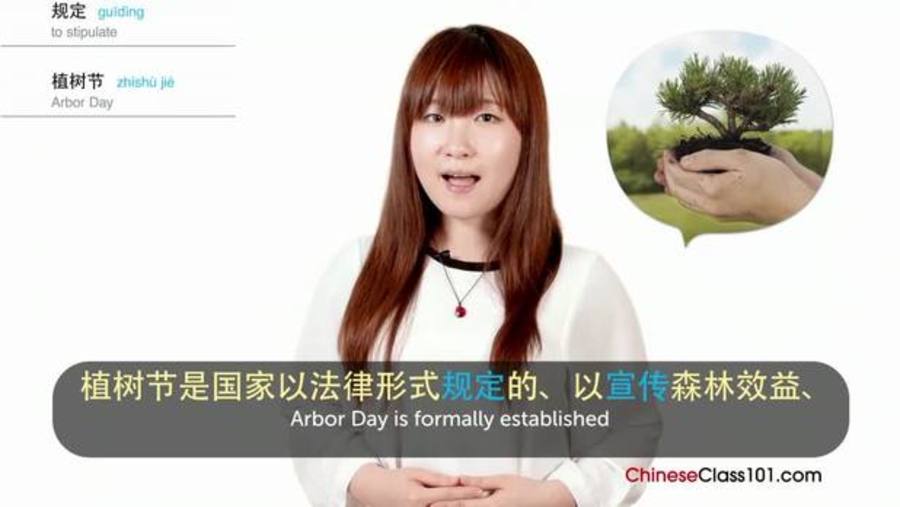 National Tree Planting Day : Video Culture Class - Chinese Holidays
