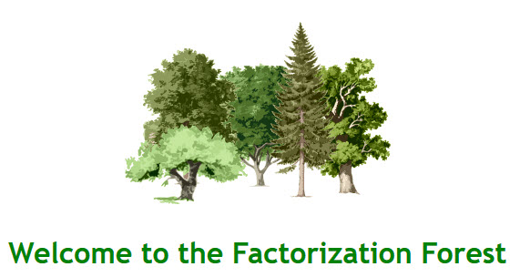 Factorization Forest